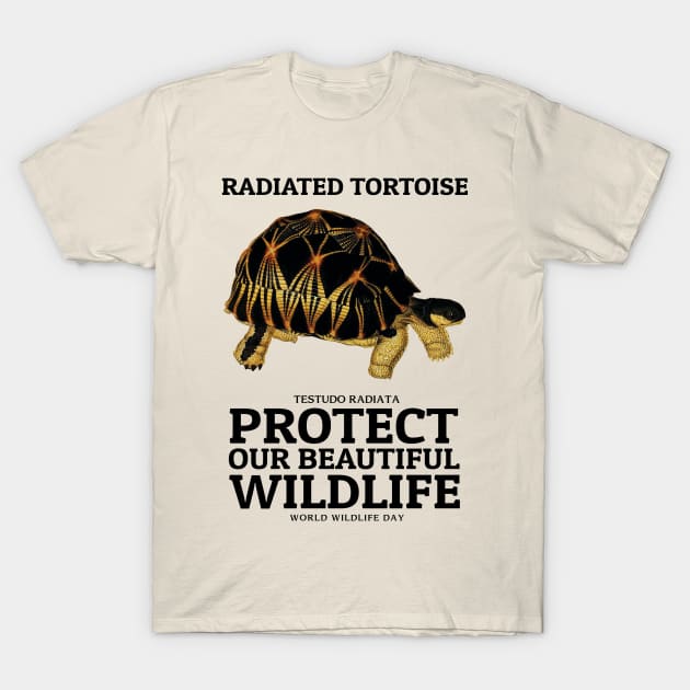 Radiated tortoise T-Shirt by KewaleeTee